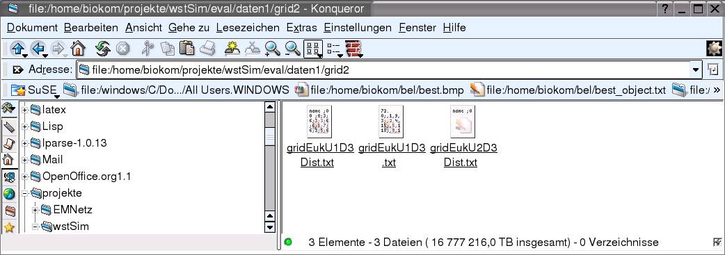 Konqueror Dateibrowser mit der Angabe das 3 Dateien 16777216,0 TB insgesammt belegen. Zu sehen sind nur 3 Textdateien.